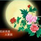 花好月圆头像