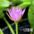 抖音号:  1769278997 顺其自然.一切随缘 关注