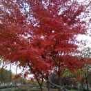 一无所有就是我拼的理由，头像