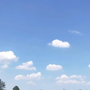 搜索 抖音号:  1381826719 半边云彩映日红,梦里萦绕等归来.