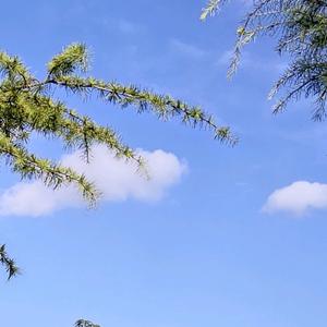 平淡头像