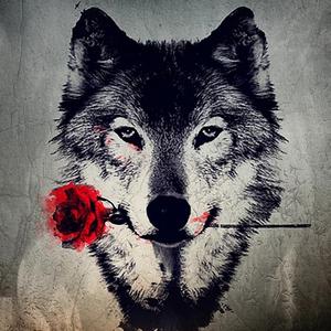 守望工作室～faded孤独行者头像