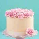 🌹云云云🌹头像