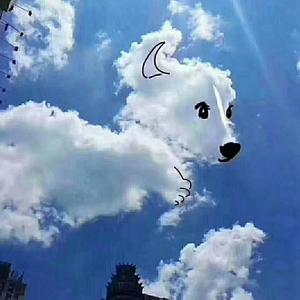一米阳光头像