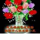 一花一世界头像