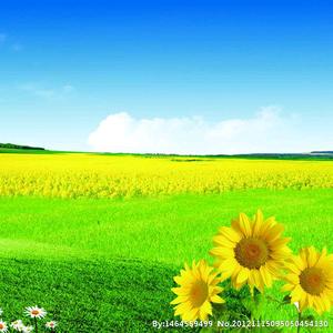 大欢欢,益生菌头像