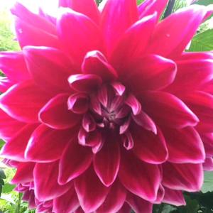 在苦在累不怕,只要心里高兴的主页 - 抖音