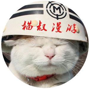 猫叔漫游