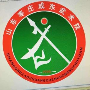 成东武术院