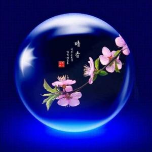 暗香qord头像