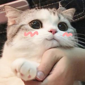 香香软软的小泡芙头像