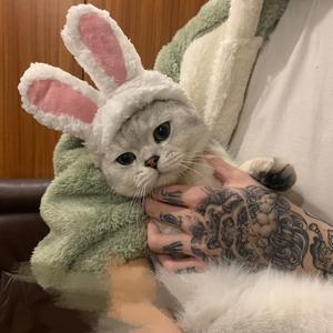 养猫人老吴头像