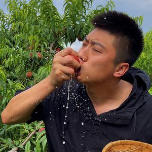 中间商 自有农场,果园,延续老辈种植方式 坚持现摘现发,不做隔夜水果