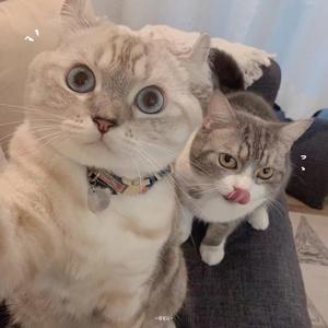 我不好惹的主页 - 抖音