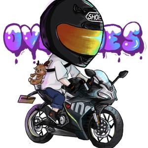 4w 座骑   幼狮250 春风250sr 两只萌猫 一只可爱的超级驼鹿 平平无奇