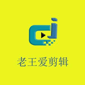 老王爱剪辑头像