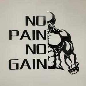 分享健康正能量,幸福身边你我他 xjbl执行者 慵懒铲屎官 补剂,健身