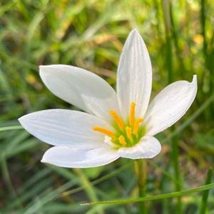 花花,哎,花花头像