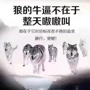 贵州野狼团图片