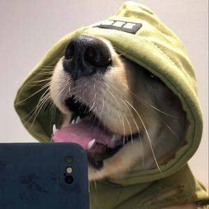 被电竞耽误的铲屎官 游戏id  x1ao-p1pi 谢谢点赞关注 点点心心 吃鸡