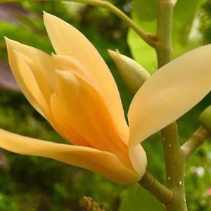 东方红的主页 - 抖音