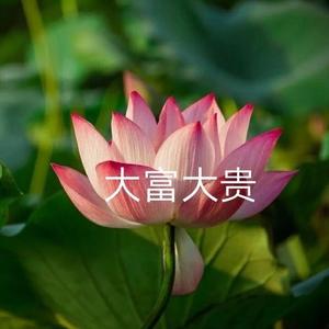 花开富贵/.头像