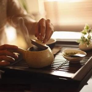 《草木涧》茶行头像