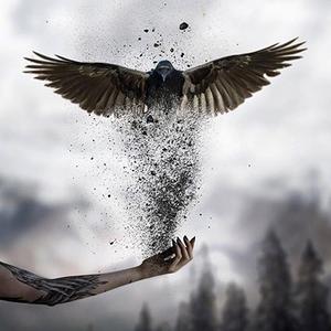 路遥知山海头像