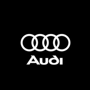 慷慨者(audi)