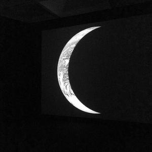 面向太阳的向日葵头像