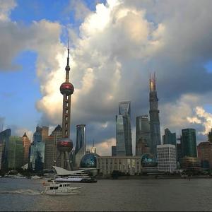 wendy 上海落户咨询头像