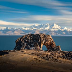清风徐来旺在心上头像