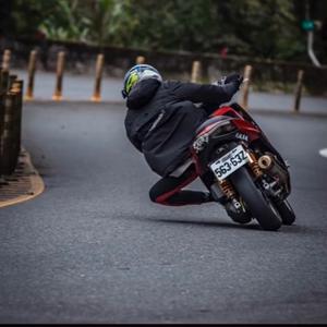 二哈不会压弯头像