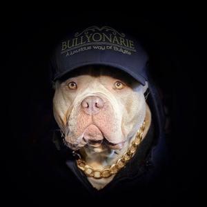 恶霸犬李多余头像