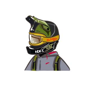 不太会骑车的豪猪头像