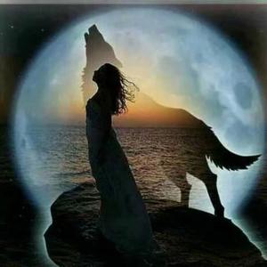 人不狠,站不稳头像