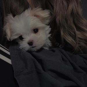 emoiicoco的主页 - 抖音