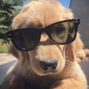 长春最后的深情的主页 - 抖音