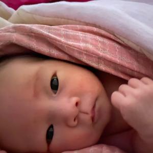 刘朵朵来了头像