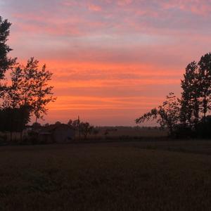 晚风徐徐吹头像