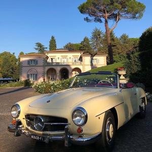 快落的阳er头像