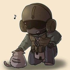 vit 战术小飞头像