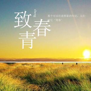 致青春~头像