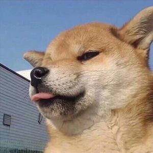 二货整根士力架头像