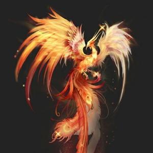 凤凰不好惹头像