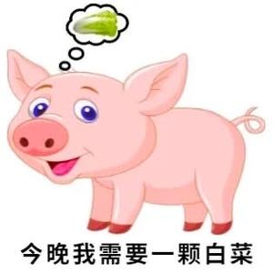 我有一头小毛驴