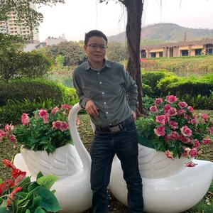 张天成