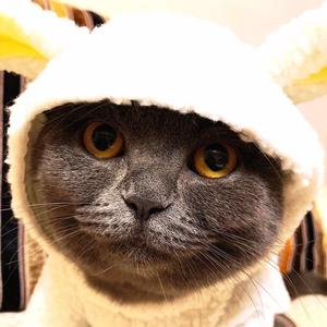 user525054375709头像