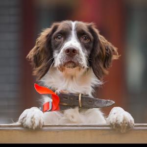 搬砖大表姐头像