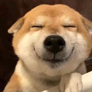 拥有108块腹肌的狗子的主页 - 抖音